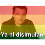 mi ciela