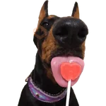 San Valentín ♥️amor y amistad🍭