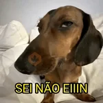 cachorros que todos amam