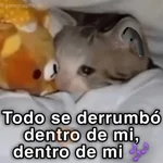 🐈🐈‍⬛🧶 GATOS 2 🧶🐈🐈‍⬛
