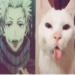 🌸゙   ꆭ   𝗂𝗇᷼𝗎𝗆𝗮𝗄ɩᩙ    𐙚