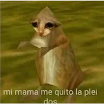 Memes Mia >:3 
