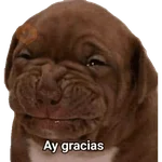 CHEC