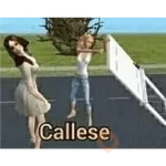 coquetos