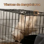 Reacciones Variadas #5 ☕