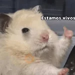 Reacciones Variadas #3 🔮