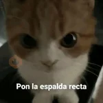 💬🫙 Pa' Responder 🫙💬 6
