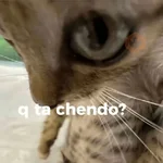 💬🫙 Pa' Responder 🫙💬 3