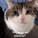 💬🫙 Pa' Responder 🫙💬 3
