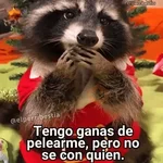 Animales Chingones🌟🌈