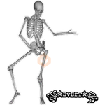 Esqueleto
