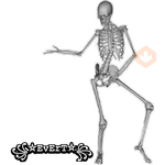 Esqueleto