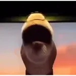Novos memes 4