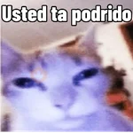 dsergio