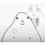 hamsters