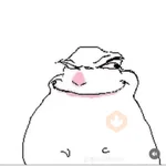 hamsters