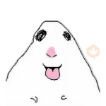 hamsters