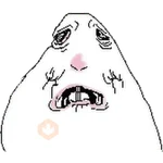 Hamster