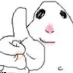 hamster⁷ 🐹 meme