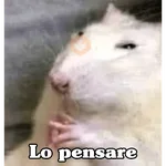 🧿Raton y Hamster🐹🐀