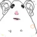 hamster meme