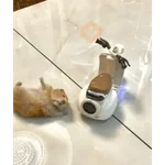 Hamster Reaction