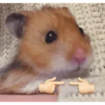 Hamster Reaction