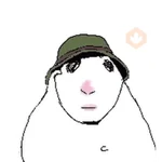 hamsters