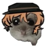 hamster da zueira