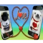 pibbles we