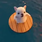 Pibble 🐶
