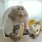 chii