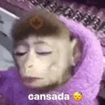 Memes de Macacos de todo tipo
