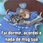 Memes de Macacos de todo tipo