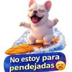 Pibble Perro Surfero Tiktok 🐶