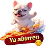 Pibble Perro Surfero Tiktok 🐶
