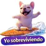 Pibble Perro Surfero Tiktok 🐶