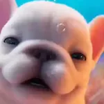 Pibble 🐶 Perro Pibble 🐶