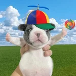 Perro Pibble Meme 🐾
