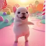 Pibble 🐶 Perro Pibble TikTok 🎶