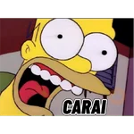 Homer 10