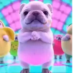 Perro Pibble 🐶 Tiktok🪩🌈