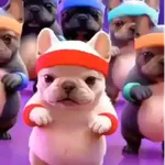 Perro Pibble 🐶 Tiktok🪩🌈