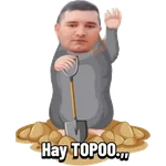 Memes