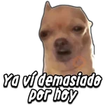 😂Memes💥Trending🤣3️⃣