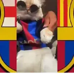 barca