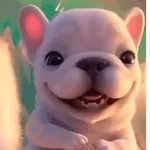 Perro Pibble 𝒯ℴ𝒹𝒶𝓎 🐾✨