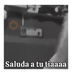 Saludame a tu tía 🎤🎵