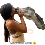 Mis pegatinas