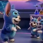 Perro Pibble 🐶 Tiktok 🪩🎶